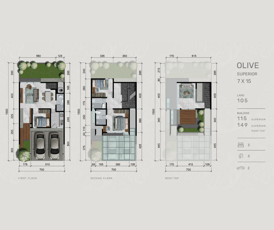 Floorplan Tipe Olive Superior dan Tipe Olive Superior Rooftop Dempsey Hill Citraland Utara Surabaya Barat