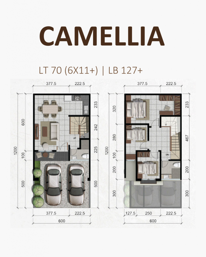 Springville Residence Tipe Camelia Floor Plan