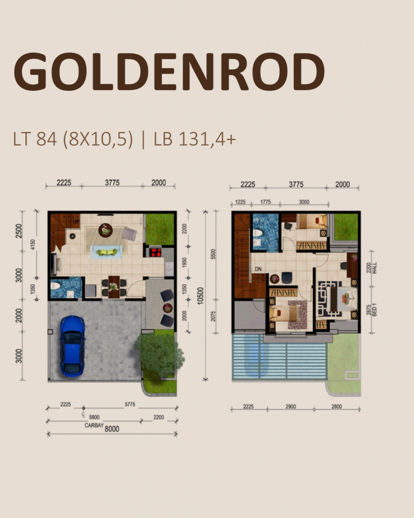 Springville Residence Tipe Goldenrod Floor Plan